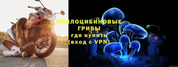 a pvp Алексин