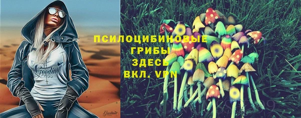 a pvp Алексин
