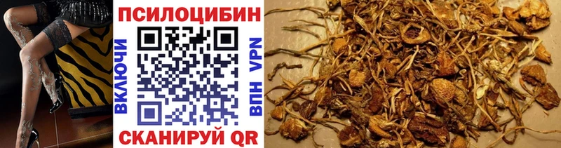 сколько стоит  Новочеркасск  Галлюциногенные грибы GOLDEN TEACHER 